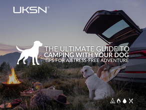 The Ultimate Guide to Camping with Your Dog: Tips for a Stress-Free Adventure