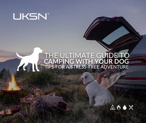 The Ultimate Guide to Camping with Your Dog: Tips for a Stress-Free Adventure