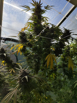 IMG_20251025_140721-min