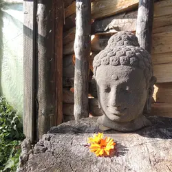 b119482f-ff74-42e6-86dc-30cb66f20bed