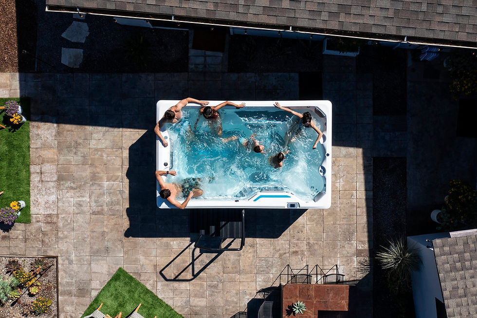 Thumbnail: Endless Pools R220 Swim Spa