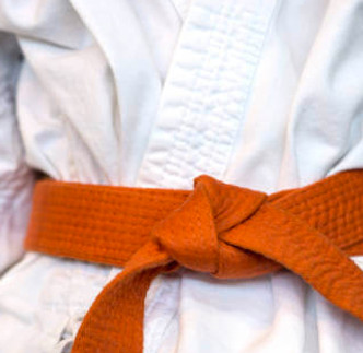 Orange Belt.jpg