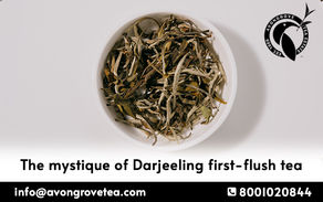 The mystique of Darjeeling first-flush tea