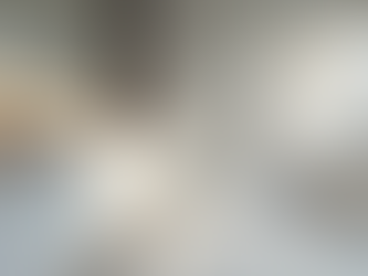 Understanding Bathroom Upgrade Expenses in Palm Beach