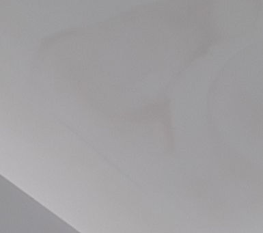 Microbial Growth Happens