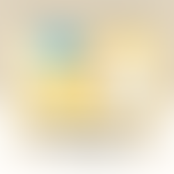 Spring Cleaning Essential Tools & Helpers