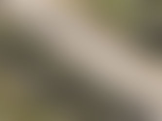 Героїв Дніпра, 25 — SOS від мешканців! Наша Оболонь заслуговує на порядок, але на цьому подвір'ї час ніби зупинився ще кілька місяців тому
