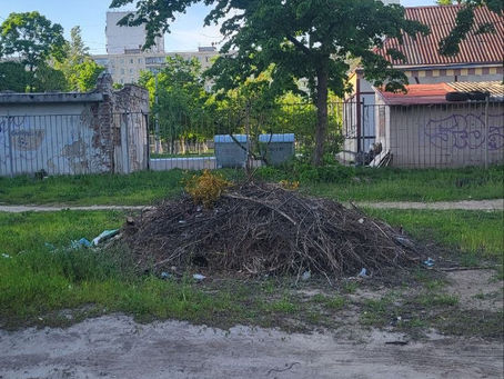 Амброзія як «пам’ятник» бездіяльності: новий рівень байдужості на Оболоні