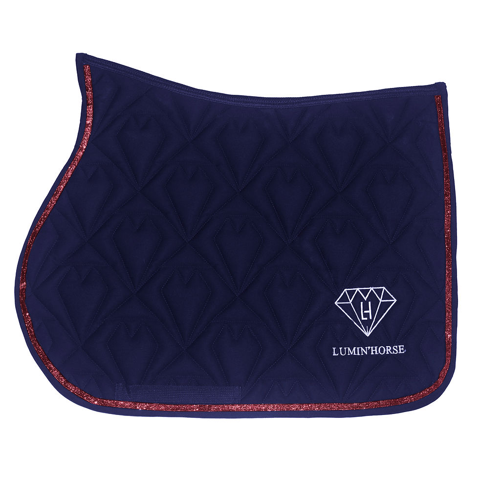 Miniature : Tapis De Selle