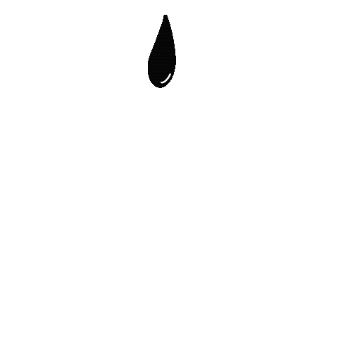 IMG_0252.GIF