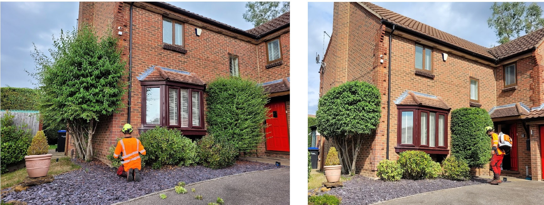 Pawson Tree Care - Hedge trimming and pruning Northamptonshire.jpg
