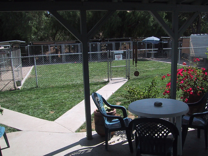 8-03 Kennel yard.JPG