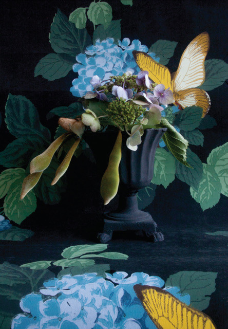 Hydrangea - 2a.jpeg
