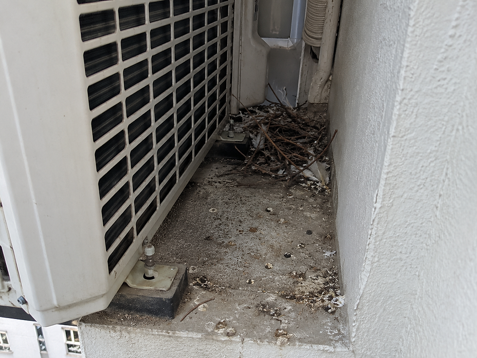 Early signs of pigeon nesting on HDB aircon ledge in Singapore — scattered nesting materials and droppings accumulating near outdoor unit