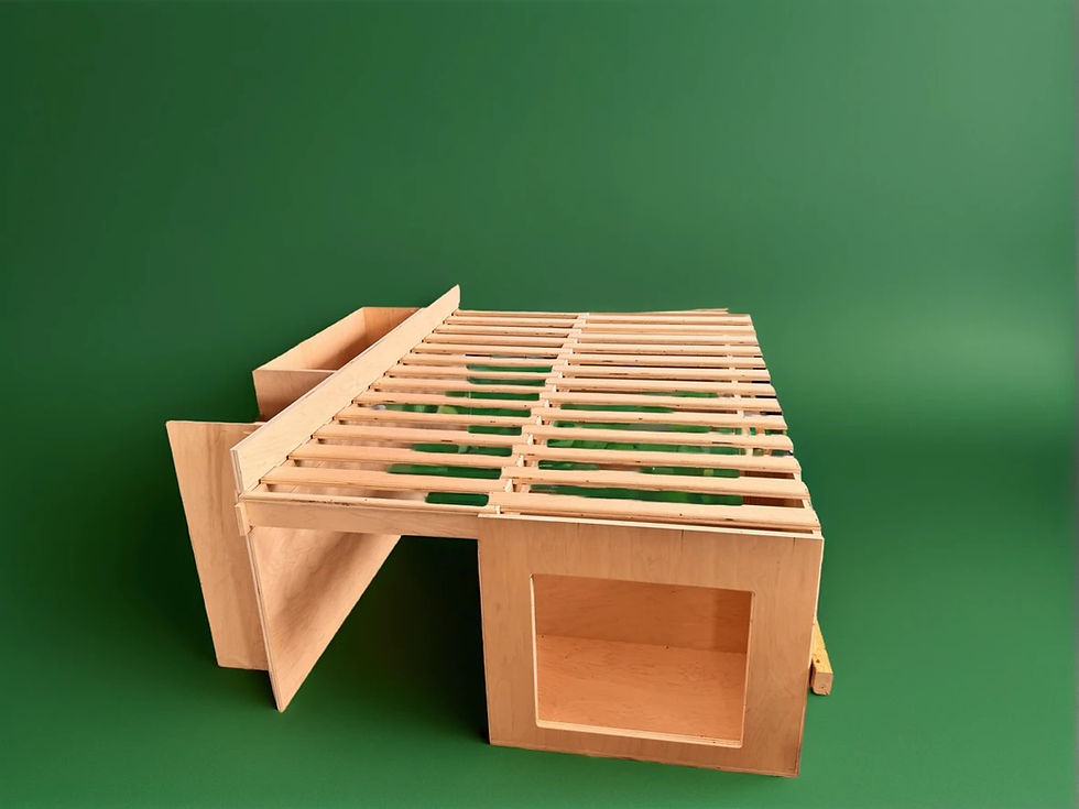 This is an image of cabinets. specifically an extendable bed cabinet made out of maple ply. the bed is currently extended and resting on the cabinet across from it. that cabinet is designed to support the bed extension and house the kitchen. the cabinets are of minimalist design and set against a green backdrop.