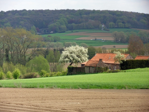 Mt Rouge 4