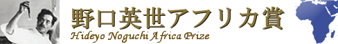 img_africaprize.gif