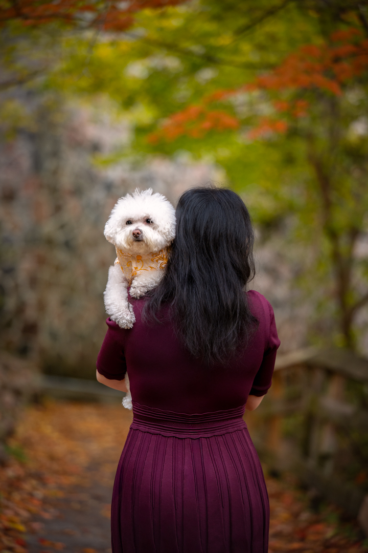 dog photography, dog photographer, toronto, pet portraits, dog portrait, professionnal dog photographer, rg picture