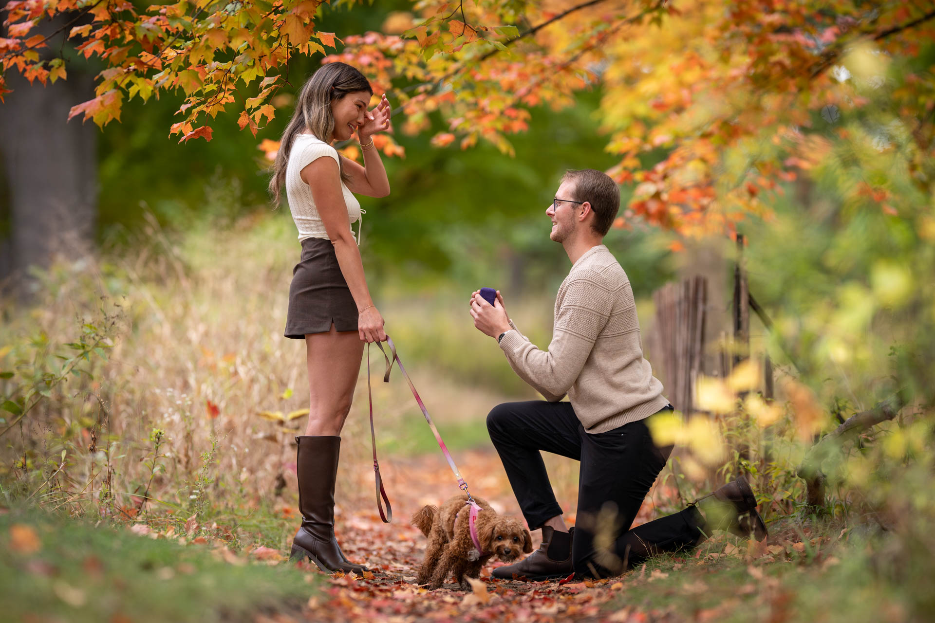 proposal, wedding, dog photography, dog photographer, toronto, pet portraits, dog portrait, professionnal dog photographer, rg picture
