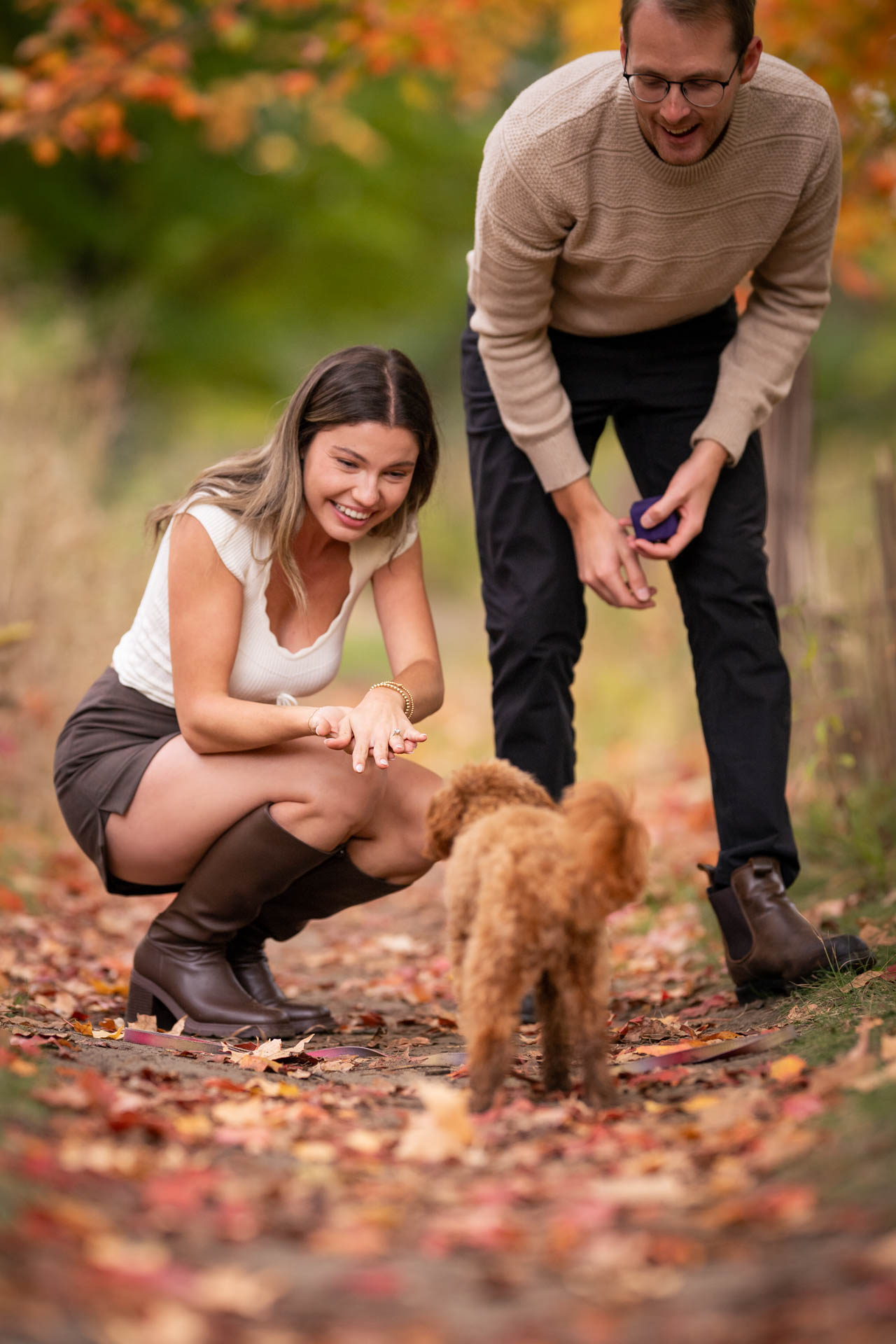 proposal, wedding, dog photography, dog photographer, toronto, pet portraits, dog portrait, professionnal dog photographer, rg picture