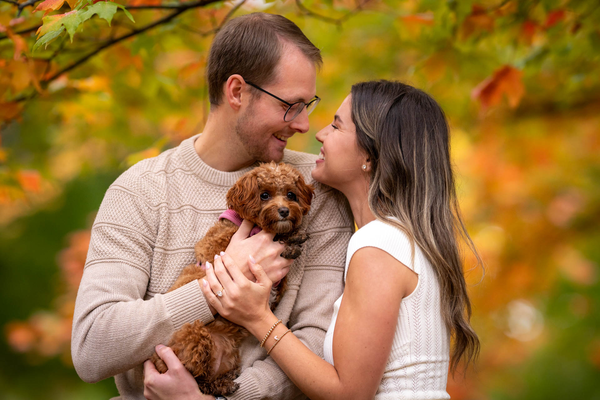 proposal, wedding, dog photography, dog photographer, toronto, pet portraits, dog portrait, professionnal dog photographer, rg picture