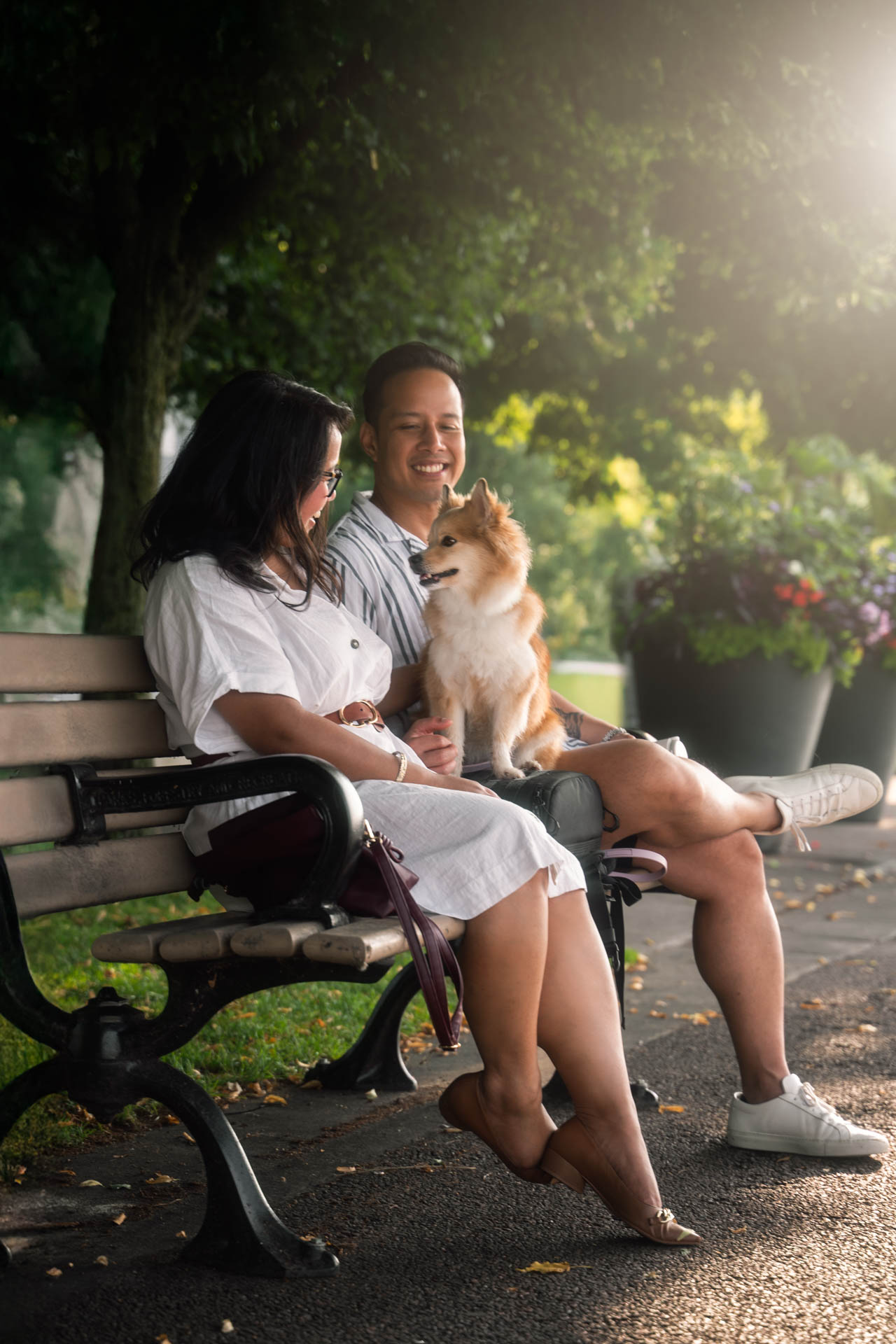 dog photography, dog photographer, toronto, pet portraits, dog portrait, professionnal dog photographer, rg picture, family picture, family portrait