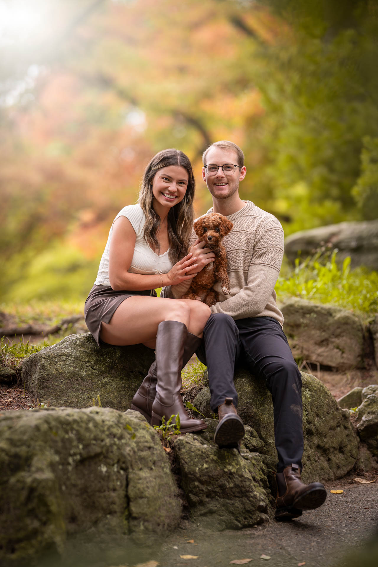 dog photography, dog photographer, toronto, pet portraits, dog portrait, professionnal dog photographer, rg picture