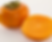Giant Fuyu Persimmon Tree