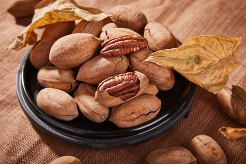 Potted Nut Trees | Buy Potted Plants