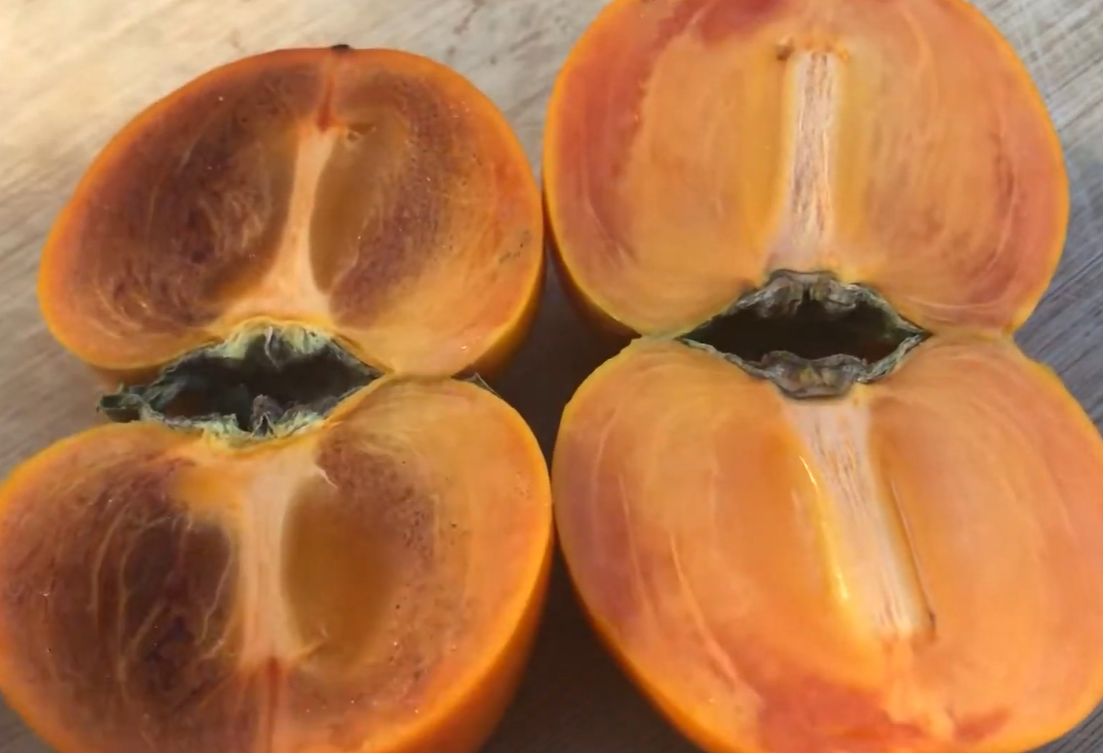 coffeecakepersimmontree