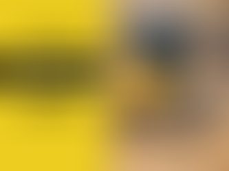 Why Proper Land Clearing and Site Preparation Prevents Future Construction Delays