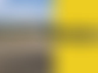 When is the Right Time for Land Clearing in Callahan, FL?