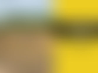 What Are the Best Land Clearing Methods for Large Properties in Callahan, FL?