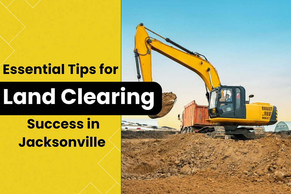 The Rise of Forestry Mulching: Why It’s Dominating the Land Clearing Industry