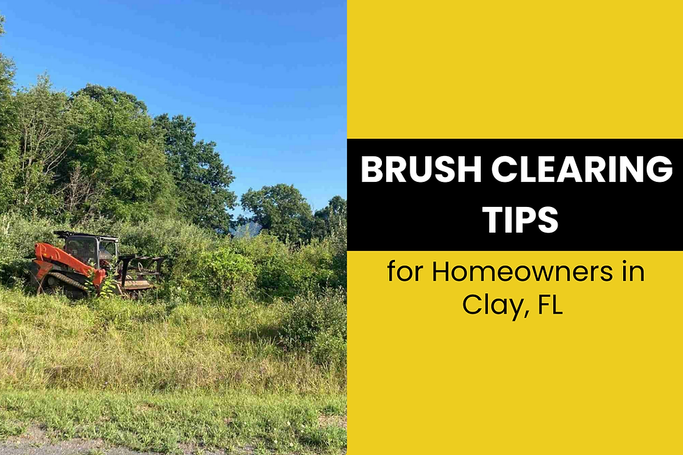 Brush Clearing Services in Clay, FL