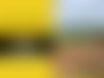 What to Consider Before Scheduling Land Clearing During Rainy Seasons