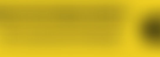 How Land Clearing Can Increase Property Value in Baldwin, FL