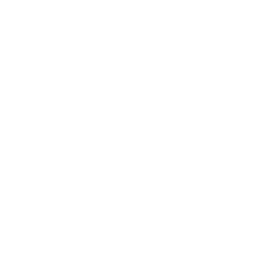 mission (1).png