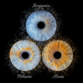 Photo d'iris en Normandie à Notre Dame de Gravenchon (Port Jérôme Sur Seine), en Sine Maritime, proche Lillebonne, Yvetot, Le Havre, Rouen, Fécamp, Etretat, Norville, Pont Audemer, Eure, Calvados