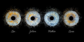 Photo d'iris en Normandie à Notre Dame de Gravenchon, en Sine Maritime, proche Lillebonne, Yvetot, Le Havre, Rouen, Fécamp, Etretat, Norville, Pont Audemer, Eure, Calvados