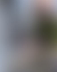 ❗️𝗣𝗼𝘀𝘁𝘄𝘂𝗿𝗳 „𝗕𝗿𝗮𝗻𝗱𝗵𝗲𝗶ß𝟵𝟬𝟳𝟯“ 𝗶𝗻 𝗩𝗶𝗸𝘁𝗿𝗶𝗻𝗴 𝟮𝟬𝟮𝟰❗️