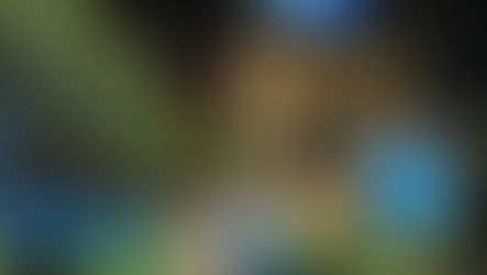 🌲🌳 Das Waldfestgelände 2024🌳🌲