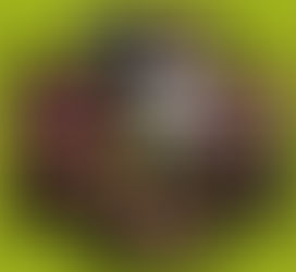 Bar des sciences sur la vaccination contre le VPH