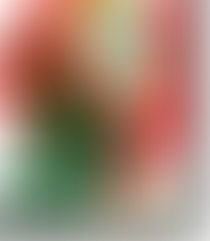 From National Health System to the Health Industry Complex