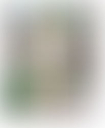 Newspaper Journalists’ Views