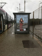 IMG_1401 (1).jpeg