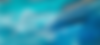 Screenshot 2025-03-17 at 11.19.09 PM.png