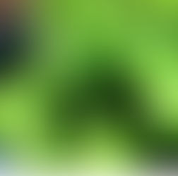 Lemon Broccoli with Avocado