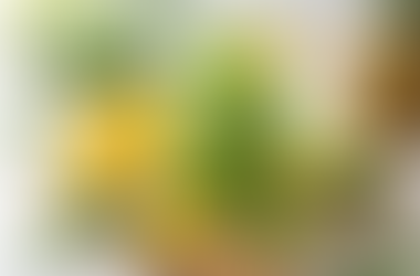 Sunshine Spring Glow Smoothie