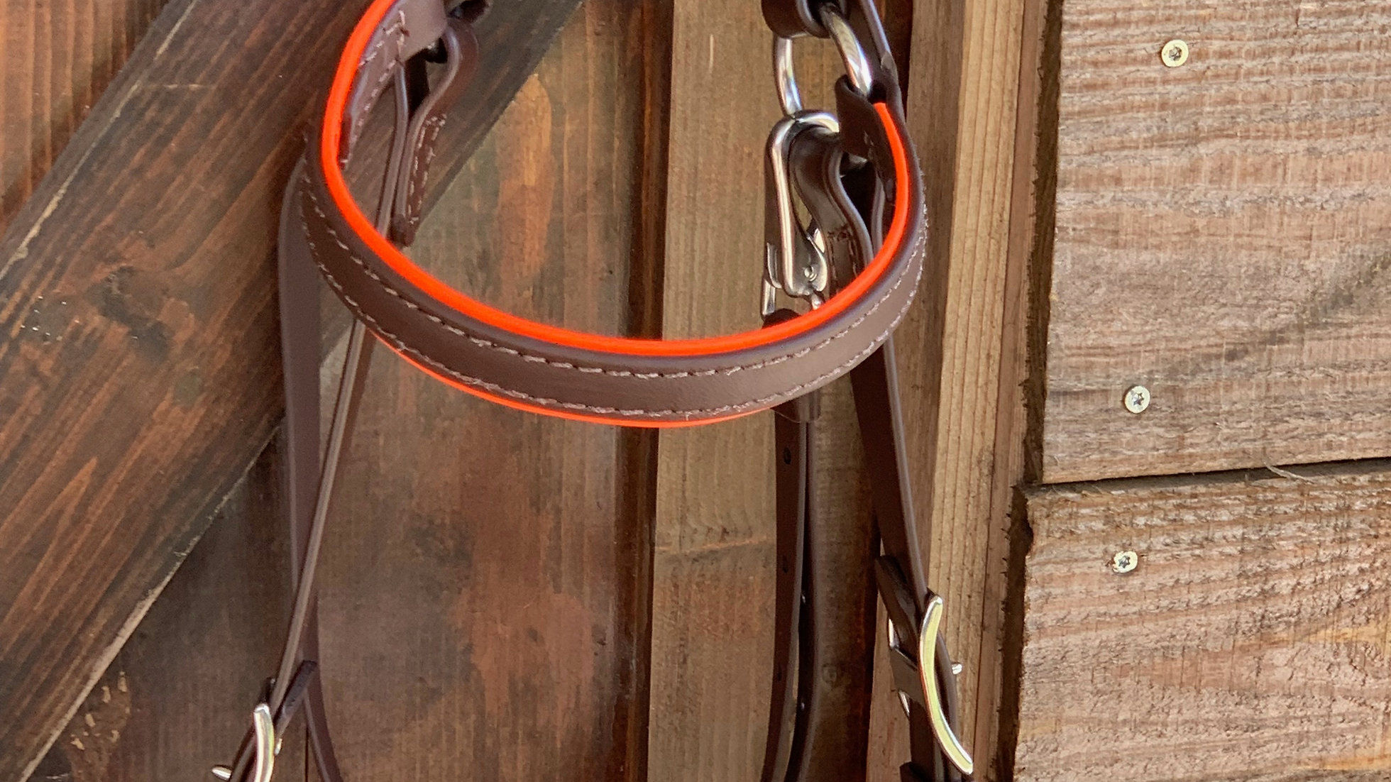Bridle with Nose Band